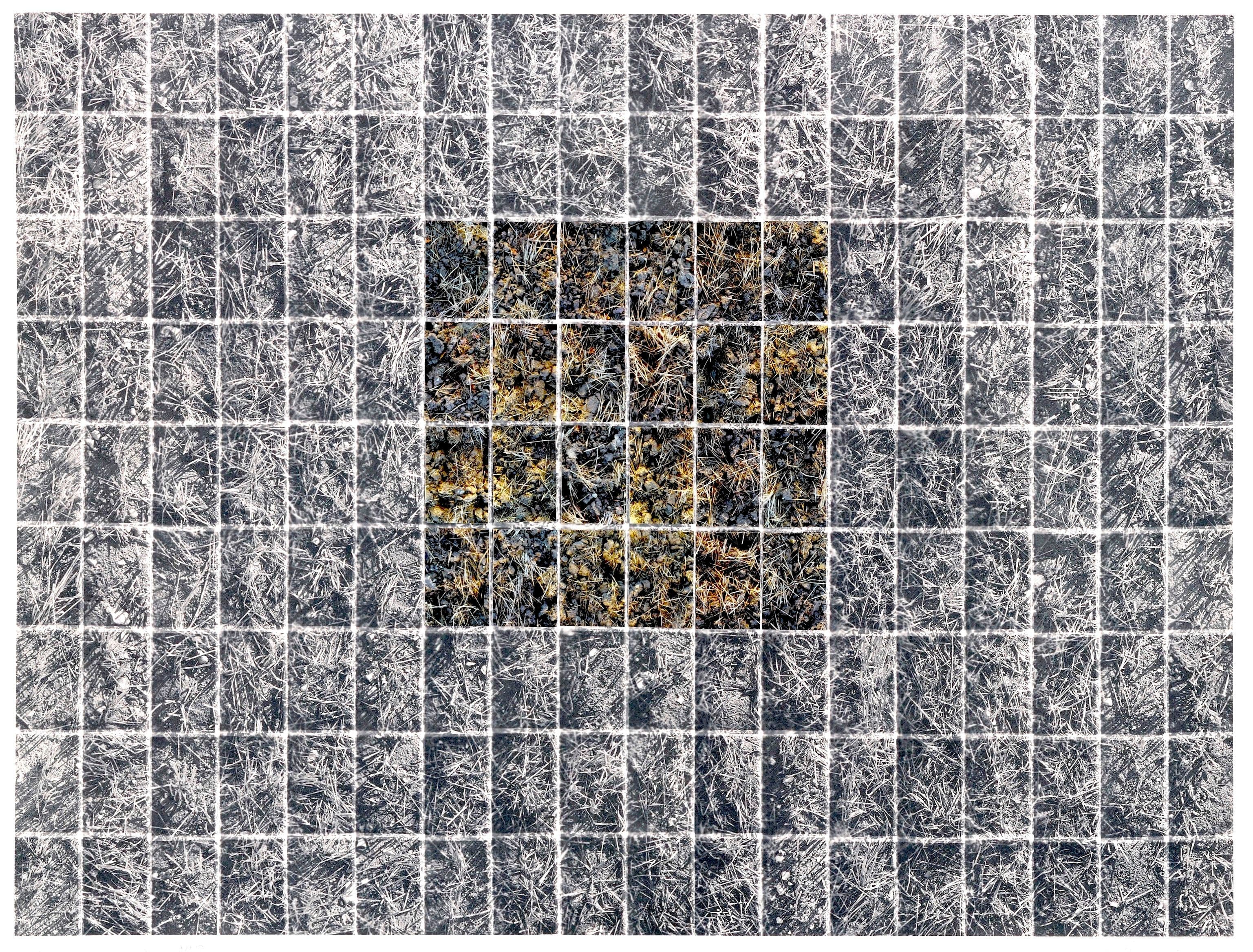 No Horizons; Down To Earth